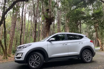 Book a private driver-guide in mauritius for a full day. plan your own itinerary, visit top sights, and get local tips. air-conditioned suv included.