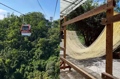 Maokong Gondola & Shiding Noodle DIY: Private Taipei Tea Tour