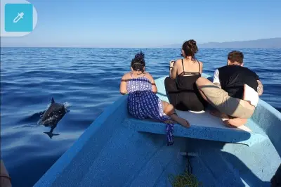 Nagez avec quatre espèces de dauphins à Puerto Escondido
