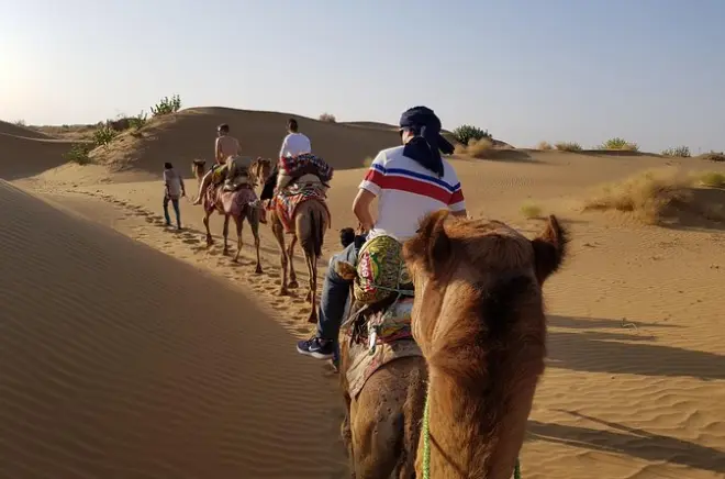 Safari 2 jours dans le désert du Thar à dos de chameau et en jeep
