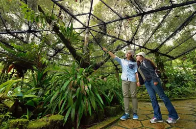 Passeio em Kinabalu Park com passarela e banhos de enxofre