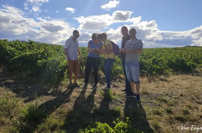 Escape Game in Agly Valley Vineyards: Puzzles & Wine Tasting