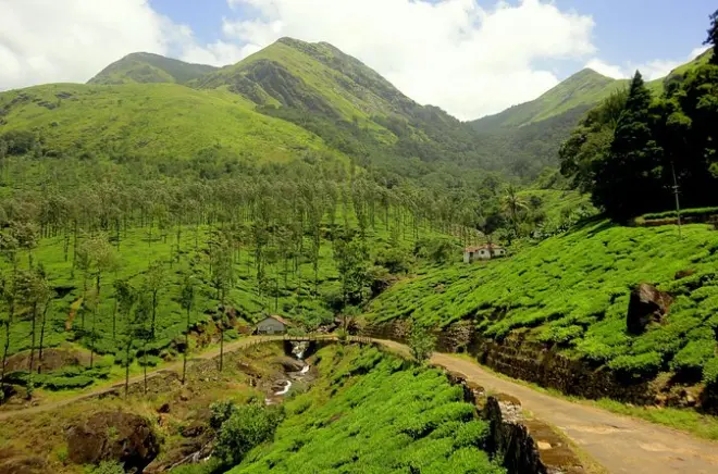 Wayanad saindo de Mysore: Santuário de vida selvagem e cavernas