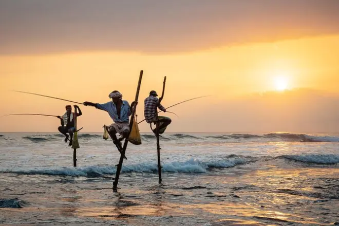 Hikkaduwa Bentota Galle tour: Turtles, tea, fort visit