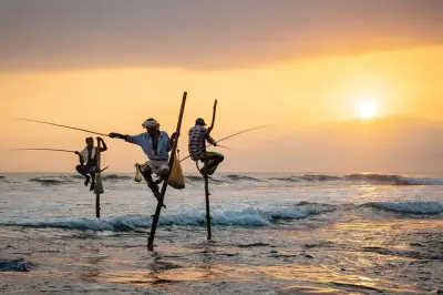 Hikkaduwa Bentota Galle tour: Turtles, tea, fort visit