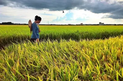 Sekinchan & Kuala Selangor: Glühwürmchen bei Nacht erleben