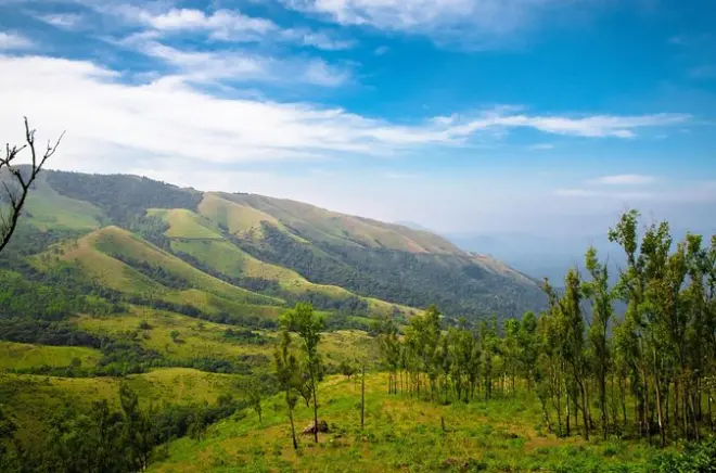 Tagesausflug von Mysore nach Chikmagalur: Kaffeefelder und Gipfel