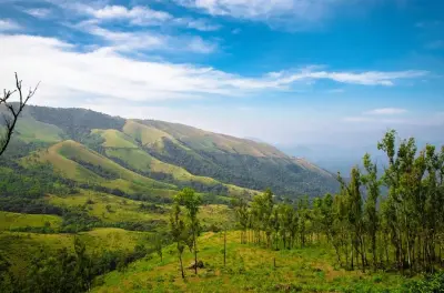 Chikmagalur saindo de Mysore: Plantações de café e montanhas