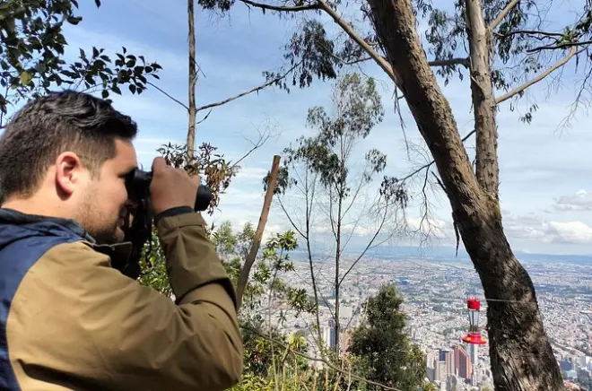 Birdwatching at Monserrate Bogotá: Expert guide, 100+ species