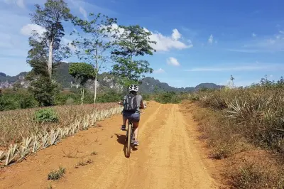 Tour in bici a Krabi: Mountain bike e avventura alla Emerald Pool