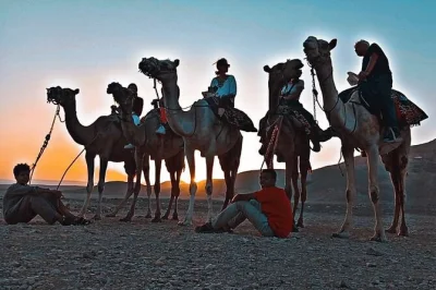 Ride camels through luxor’s west bank villages and fields with a local guide. includes bottled water, flexible duration, and optional sunset tea stop.
