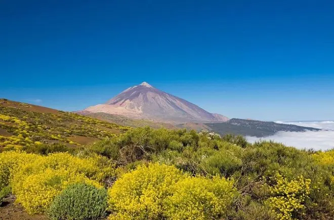 Teide Nationalpark Private Vulkan-Tour ab Teneriffa