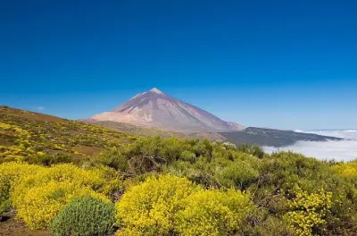 Teide National Park Private Volcano Tour from Tenerife