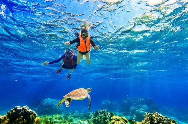 Snorkeling a Ishigaki: Tartarughe marine e barriere coralline
