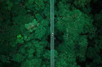 Ziplining in Monteverde: 4-in-1 cloud forest combo