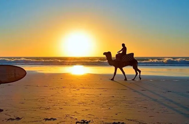 Transfert privé Agadir Essaouira : Trajet confortable 2 à 3 heures