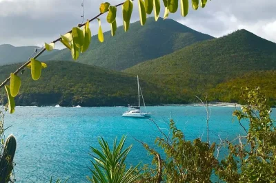 Set sail from fajardo to piñeros or palomino for snorkeling, a local barbecue lunch, and small-group sailing. includes equipment, drinks, and marina pickup.