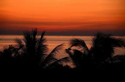 Mui Ne to Nha Trang Private Transfer: Fixed Price, No Surprises