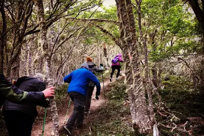 Escursione privata di un giorno nella foresta della Patagonia a Punta Arenas