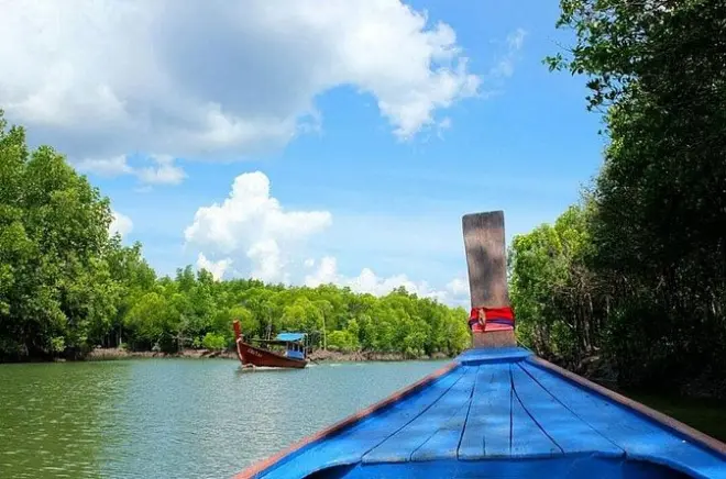 Tung Yee Peng Mangrove Forest Longtail Boat Tour