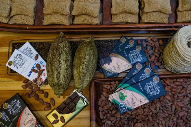 Cocoa farm class in Rocafuerte: Roast, process & make chocolate