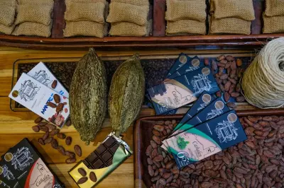 Atelier cacao à Rocafuerte : Torréfaction, transformation, chocolat