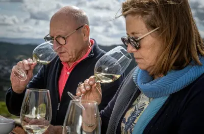 Vinho Verde Verkostung & Weinbergführung: 4 Weine