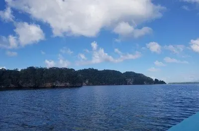 Los Haitises en bateau : Mangroves et grottes au départ de Samaná