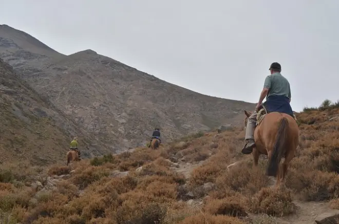 Pferdereiten in den Anden ab Santiago: Private Tour
