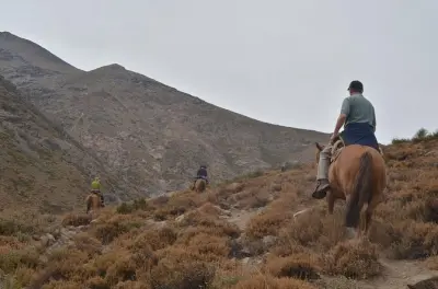Pferdereiten in den Anden ab Santiago: Private Tour
