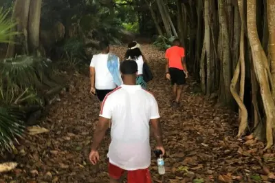 Bermuda Railway Trail walking tour: Pink beaches & paths