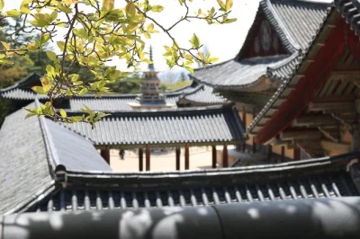 Experience gyeongju’s unesco sites, ancient temples, and folk villages on a private day trip from busan. includes hotel pickup and expert local guide.