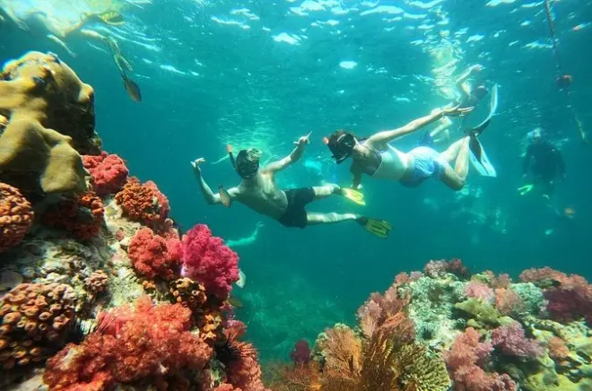 Snorkeling à Ko Lipe : 4 îles, coucher de soleil, petit groupe