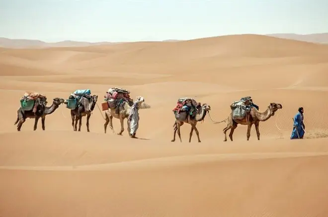 3-tägige private Sahara-Wanderung ab M'Hamid