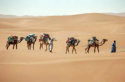 Trekking privado de 3 dias no deserto do Saara saindo de M'Hamid