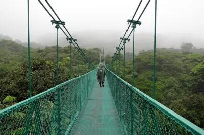 Monteverde cloud forest tour: Hanging bridges and sloths
