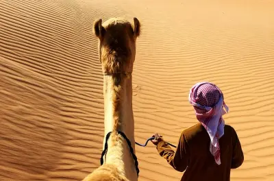 Sunrise Desert Safari from Abu Dhabi: Camel Farm & Dune Bashing