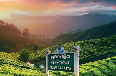 Traslado privado de Colombo ao aeroporto de Nuwara Eliya com motorista