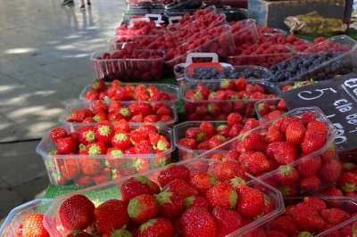Stroll aix-en-provence’s bustling farmers markets, taste local cheeses and breads, and shop with a local guide. coffee or tea included. book now.