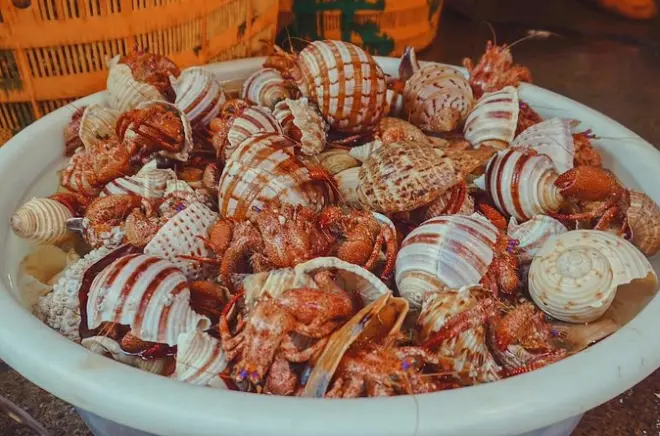 Marché aux fruits de mer de Xiamen avec guide local et repas privé