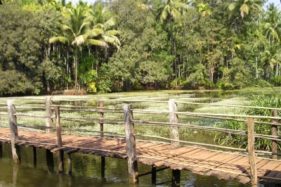 Experience south goa’s colonial mansions, chitra museum, and a spice plantation with lunch. includes pickup and a friendly local guide. book now for a real taste of goa.