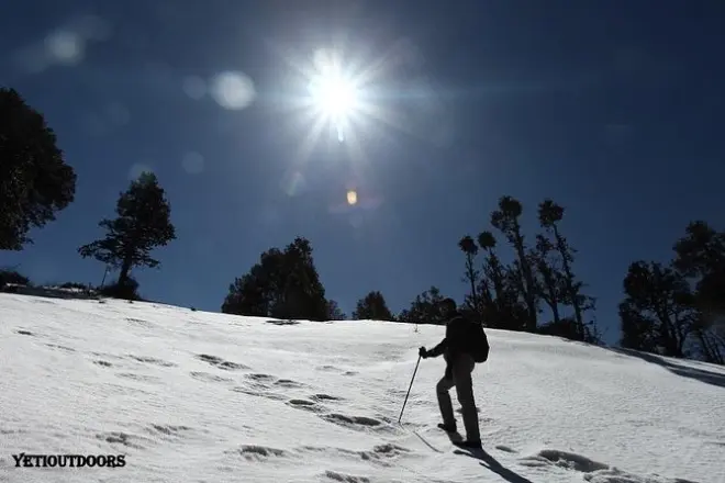 2-tägige Naag Tibba Wanderung ab Delhi: Einfache Himalaya-Tour