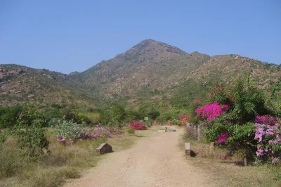 Entdecke tiruvannamalai mit dem arunachala tempel, einer heiligen bergwanderung und meditationshöhlen – begleitet von einem lokalen guide. inklusive eintritt und rundum-betreuung.