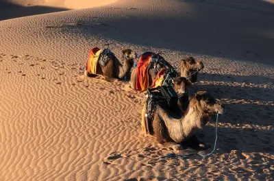 3-tägige Wüstentour von Fes nach Marrakesch: Kamelritt in Erg Chebbi