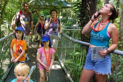 Descubra a floresta tropical de daintree com passe família no discovery centre. inclui torre na copa, tour de áudio autoguiado e acesso fácil.
