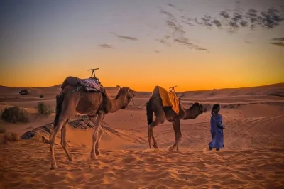 Journey from fes to marrakech through morocco’s desert, ride camels at merzouga, sleep in a luxury camp, and visit ancient kasbahs. includes pickup.