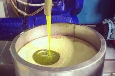 Olive Harvest and Oil Mill Visit in Vieste: Tasting Included