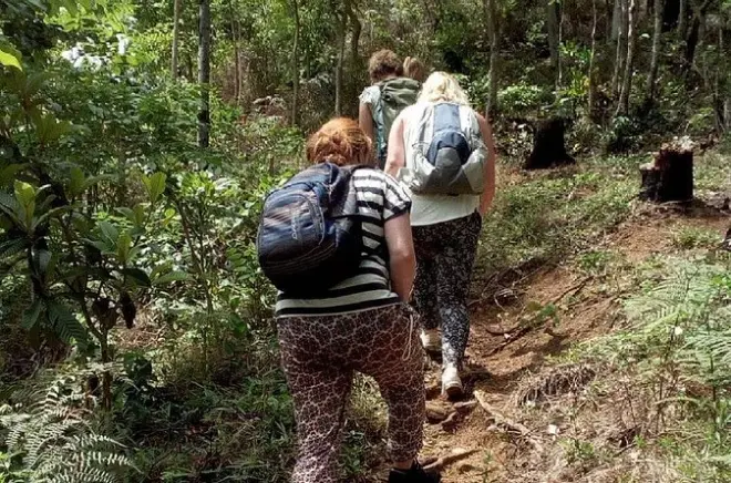 Subida ao pico Lupanga: Caminhada de 12 horas saindo do hotel