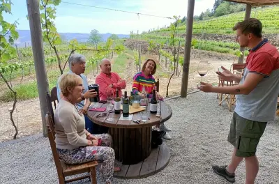 Wine Class in Pinhão: Taste & Learn Portuguese Wines