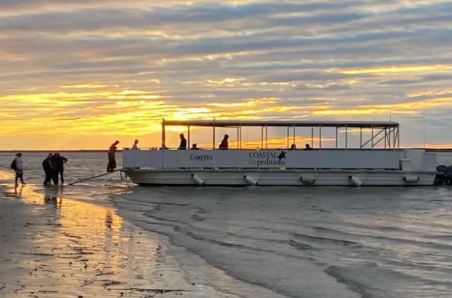 Tour de vida silvestre en Cape Romain con ferry a Bulls Island